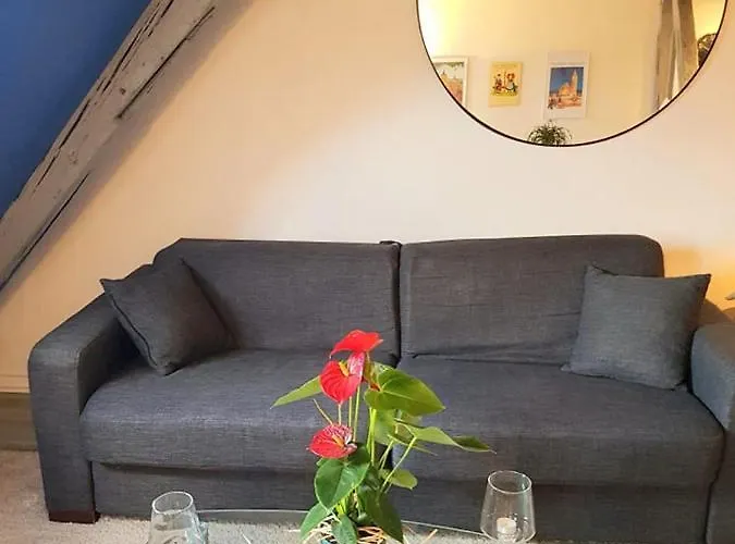 Apartamento Vue Petite Venise-place To Be Old Town - Parking Colmar